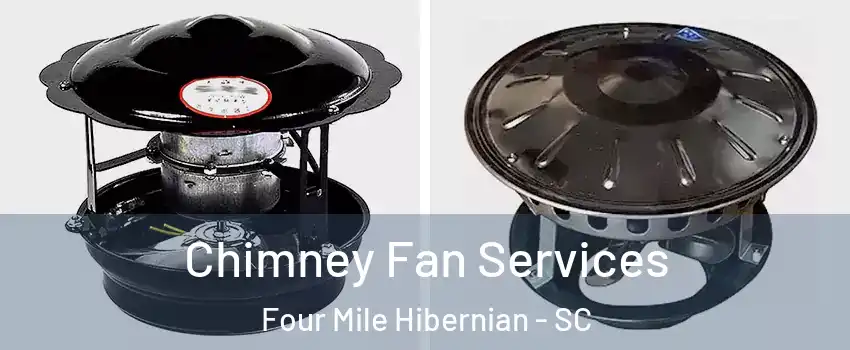 Chimney Fan Services Four Mile Hibernian - SC