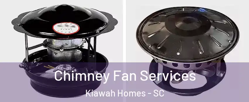 Chimney Fan Services Kiawah Homes - SC