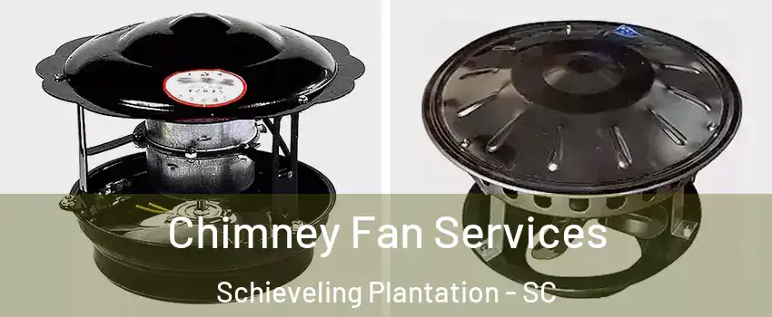 Chimney Fan Services Schieveling Plantation - SC