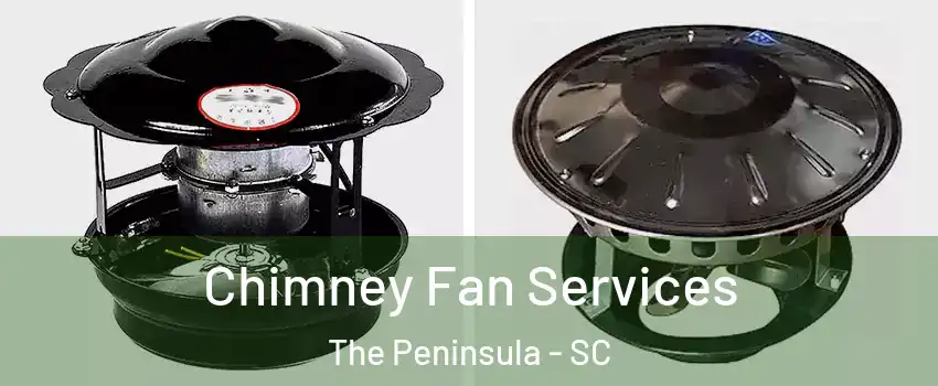 Chimney Fan Services The Peninsula - SC