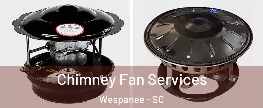 Chimney Fan Services Wespanee - SC