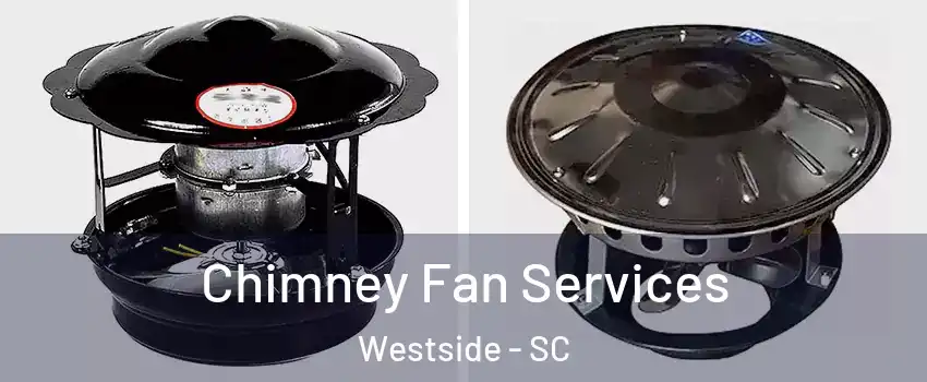 Chimney Fan Services Westside - SC