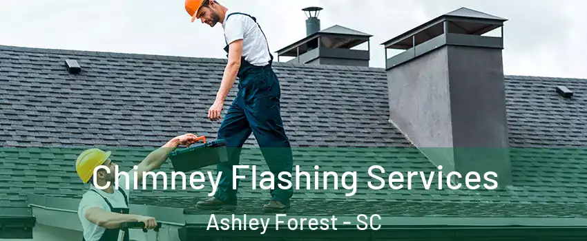 Chimney Flashing Services Ashley Forest - SC