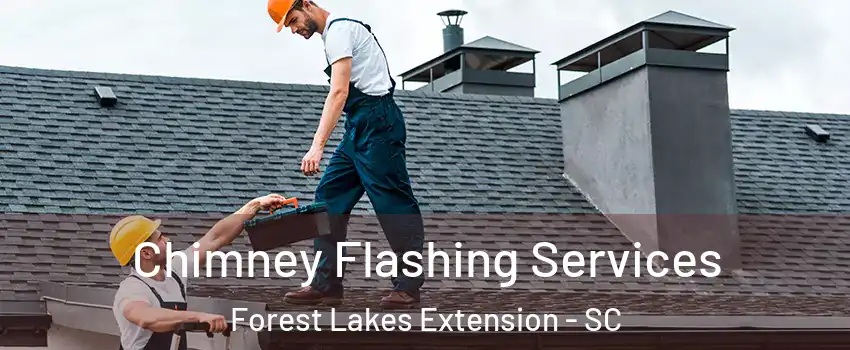 Chimney Flashing Services Forest Lakes Extension - SC