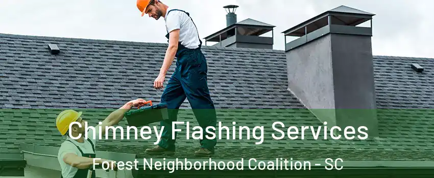 Chimney Flashing Services Forest Neighborhood Coalition - SC