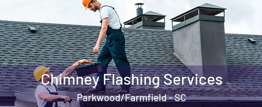 Chimney Flashing Services Parkwood/Farmfield - SC