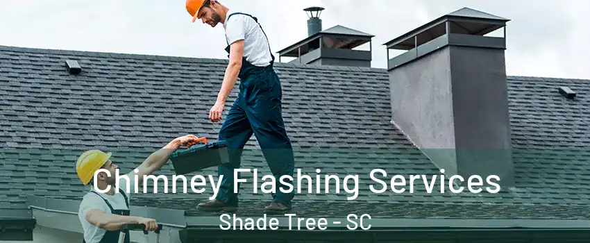 Chimney Flashing Services Shade Tree - SC