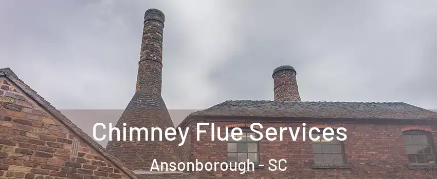 Chimney Flue Services Ansonborough - SC