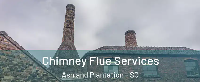 Chimney Flue Services Ashland Plantation - SC