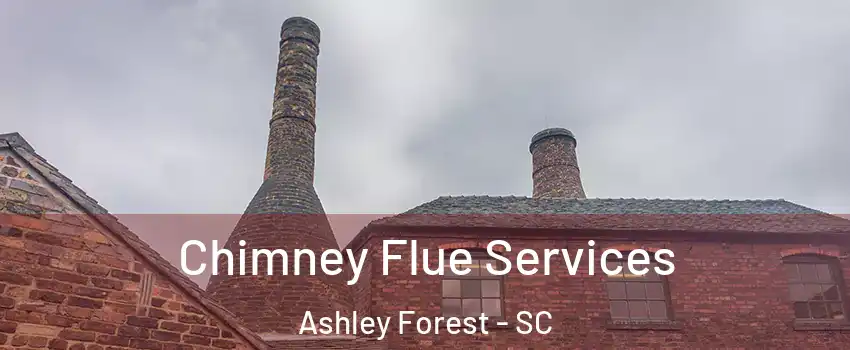 Chimney Flue Services Ashley Forest - SC