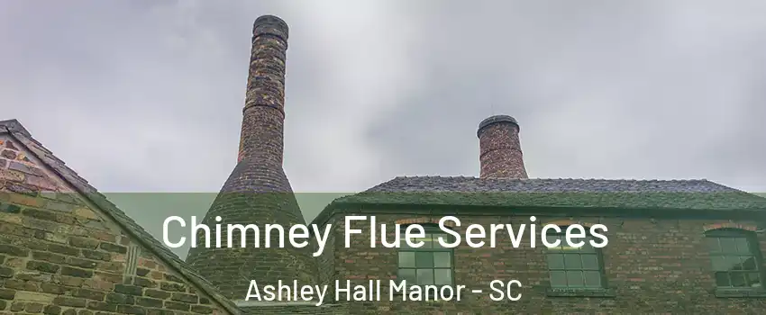 Chimney Flue Services Ashley Hall Manor - SC