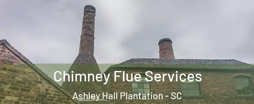 Chimney Flue Services Ashley Hall Plantation - SC