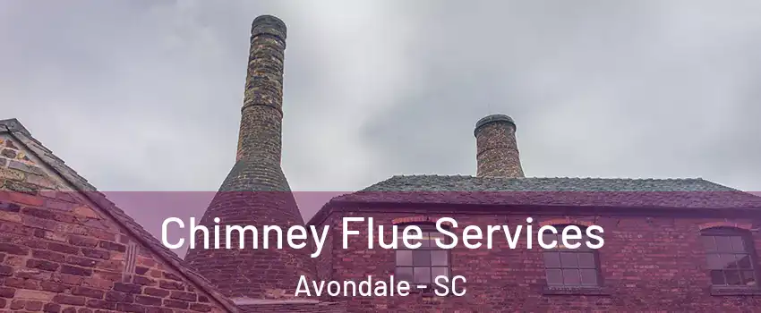 Chimney Flue Services Avondale - SC