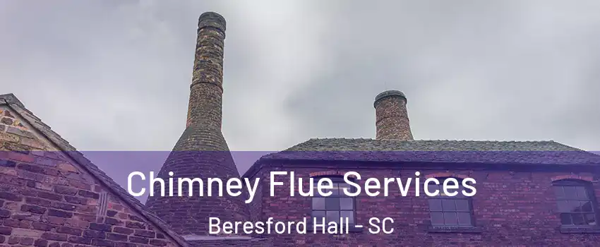 Chimney Flue Services Beresford Hall - SC