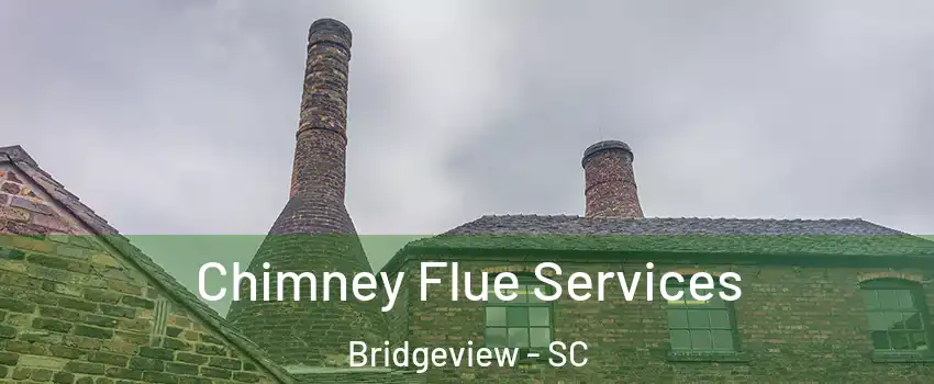 Chimney Flue Services Bridgeview - SC