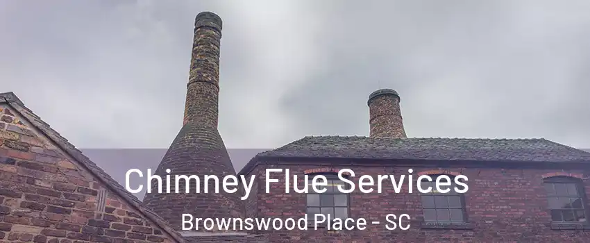 Chimney Flue Services Brownswood Place - SC