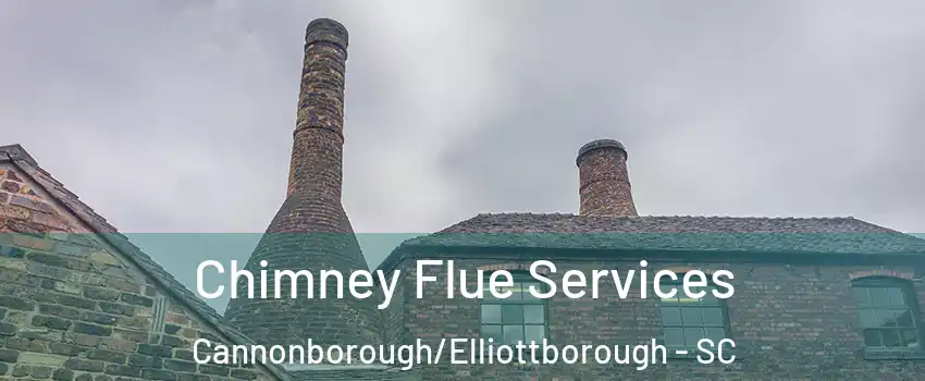 Chimney Flue Services Cannonborough/Elliottborough - SC