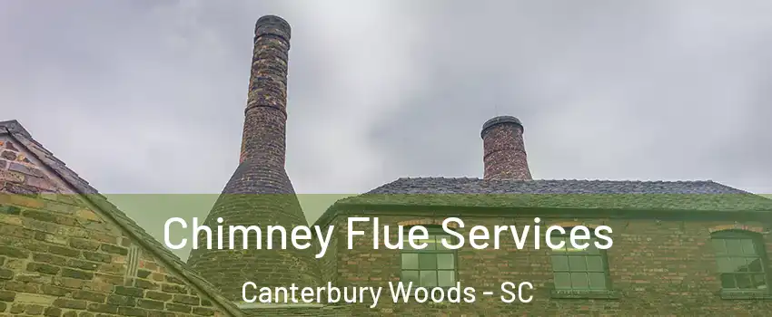 Chimney Flue Services Canterbury Woods - SC