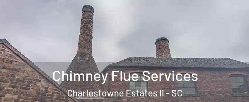 Chimney Flue Services Charlestowne Estates II - SC