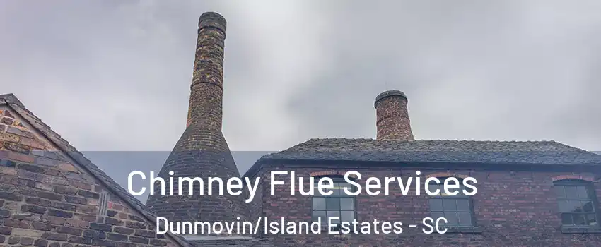 Chimney Flue Services Dunmovin/Island Estates - SC