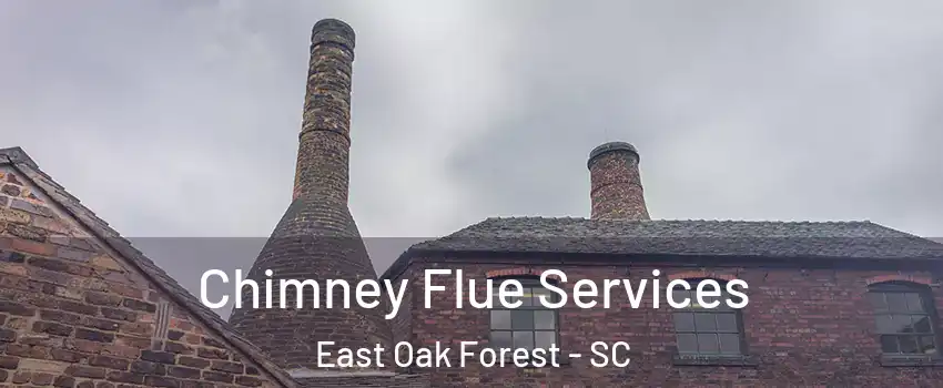 Chimney Flue Services East Oak Forest - SC