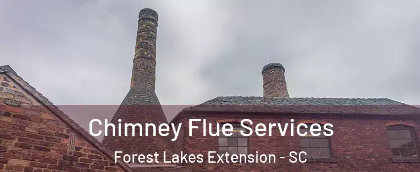 Chimney Flue Services Forest Lakes Extension - SC