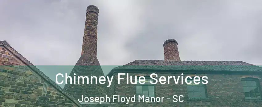 Chimney Flue Services Joseph Floyd Manor - SC