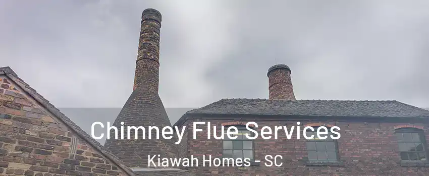 Chimney Flue Services Kiawah Homes - SC