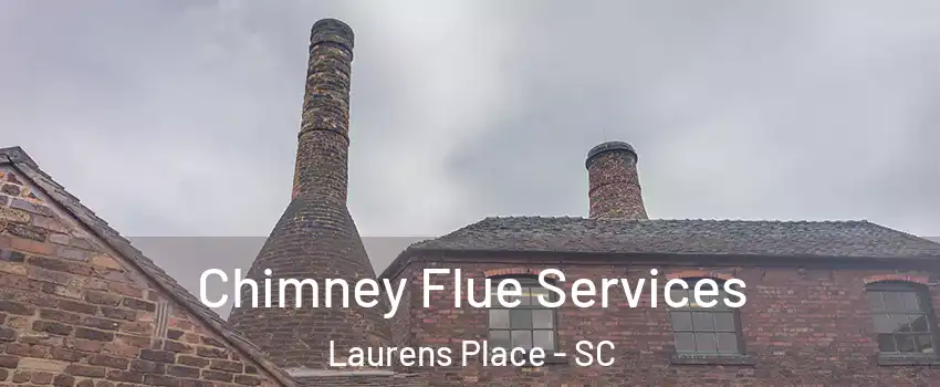 Chimney Flue Services Laurens Place - SC