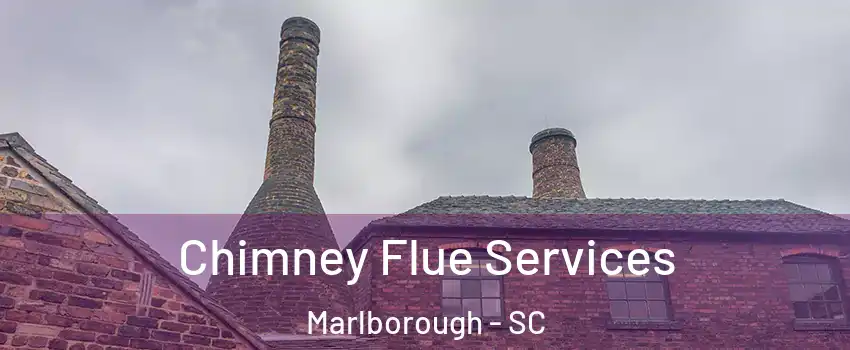 Chimney Flue Services Marlborough - SC