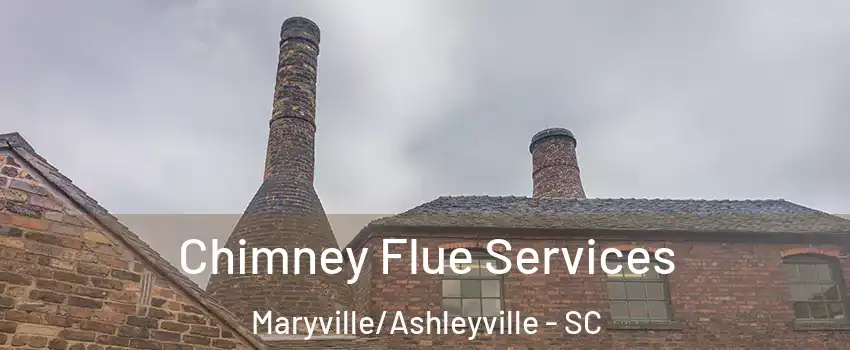 Chimney Flue Services Maryville/Ashleyville - SC