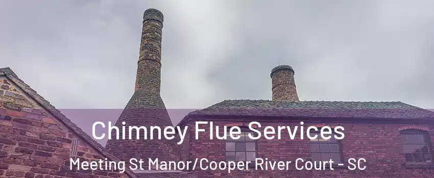 Chimney Flue Services Meeting St Manor/Cooper River Court - SC