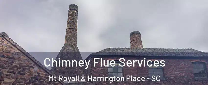 Chimney Flue Services Mt Royall & Harrington Place - SC