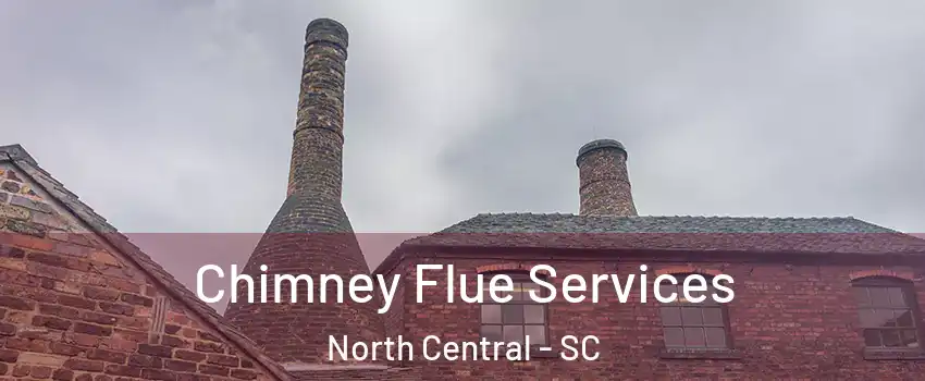 Chimney Flue Services North Central - SC