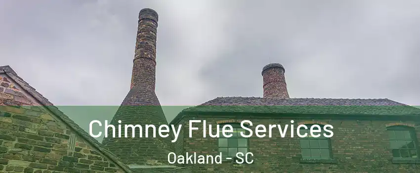 Chimney Flue Services Oakland - SC