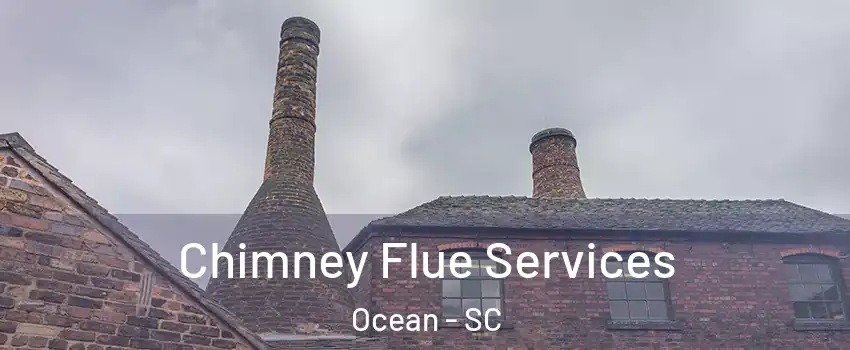 Chimney Flue Services Ocean - SC