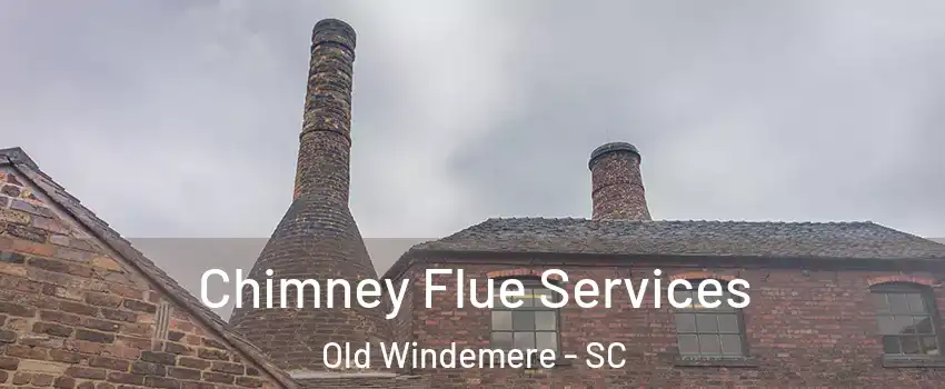 Chimney Flue Services Old Windemere - SC