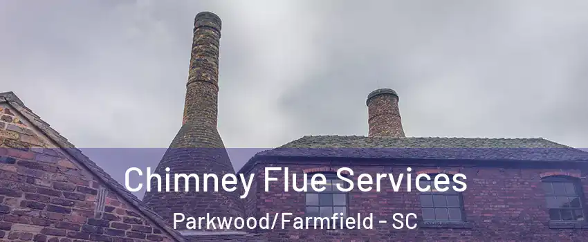 Chimney Flue Services Parkwood/Farmfield - SC