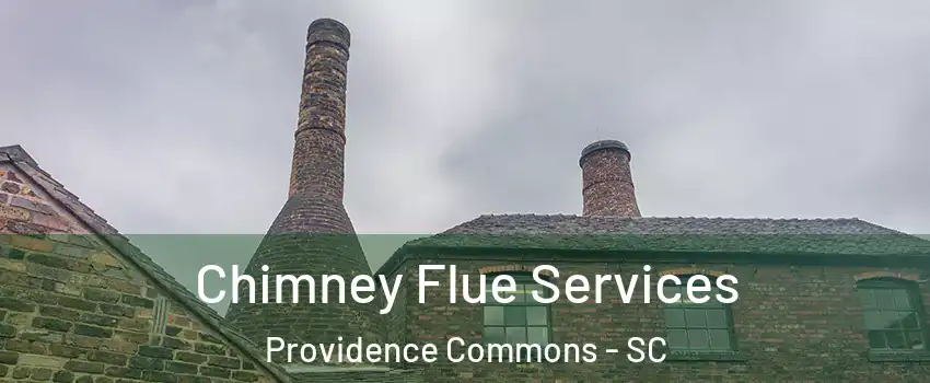 Chimney Flue Services Providence Commons - SC