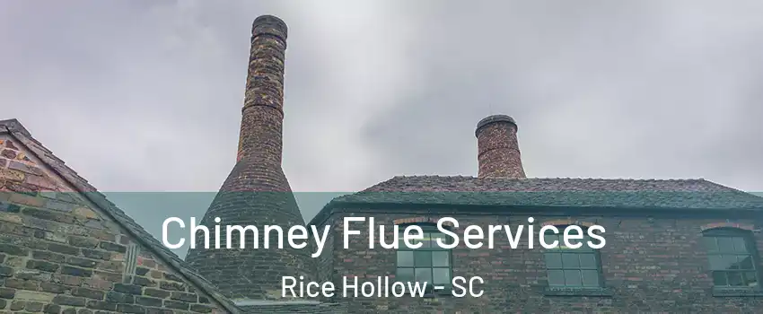 Chimney Flue Services Rice Hollow - SC