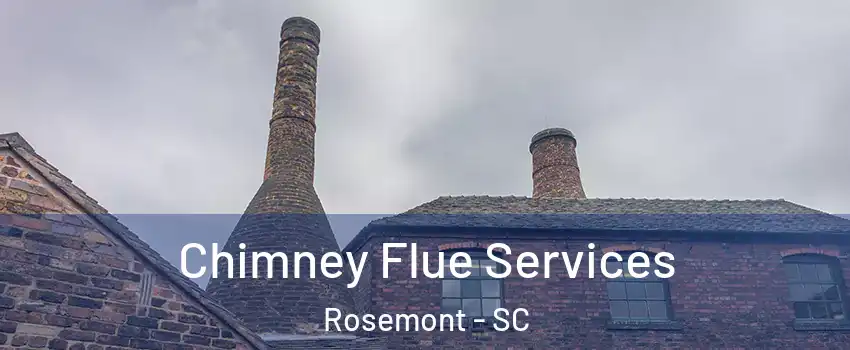 Chimney Flue Services Rosemont - SC