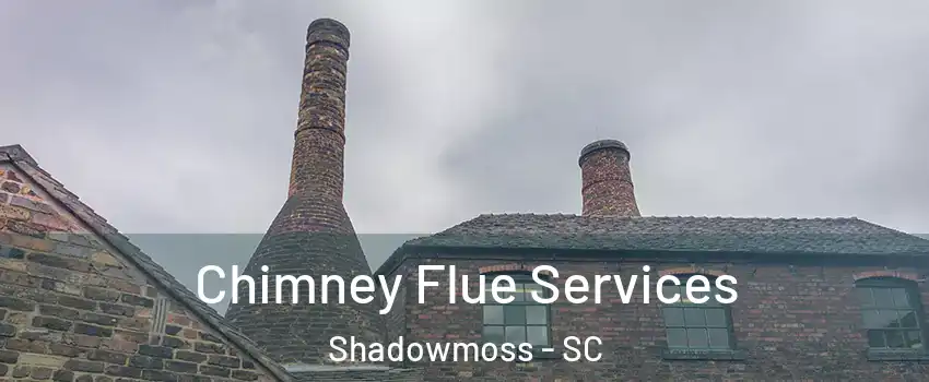 Chimney Flue Services Shadowmoss - SC