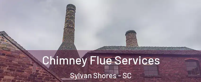 Chimney Flue Services Sylvan Shores - SC