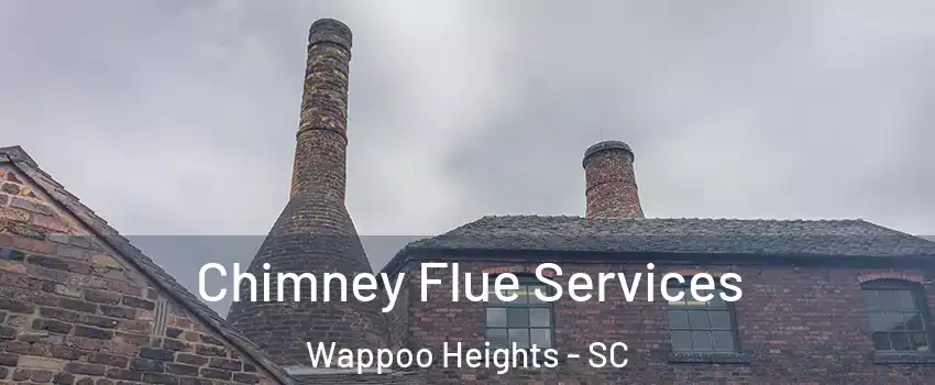 Chimney Flue Services Wappoo Heights - SC