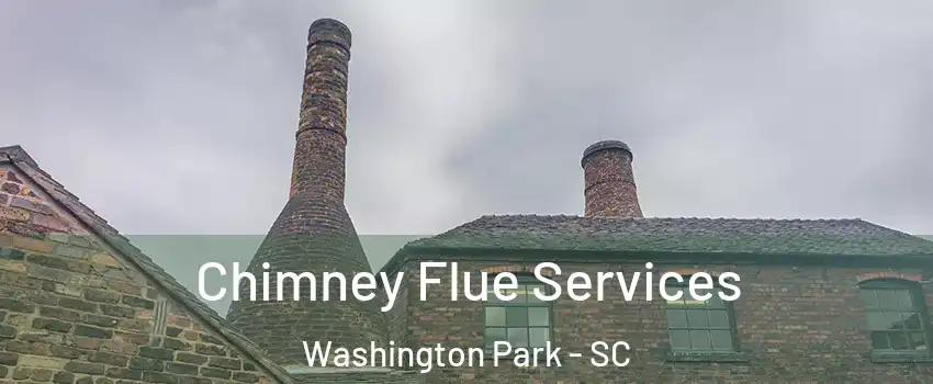 Chimney Flue Services Washington Park - SC