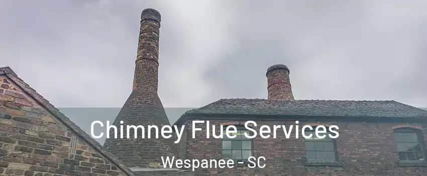 Chimney Flue Services Wespanee - SC