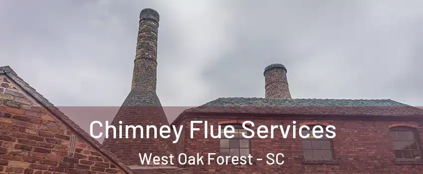 Chimney Flue Services West Oak Forest - SC