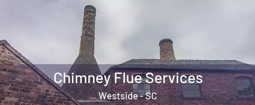 Chimney Flue Services Westside - SC