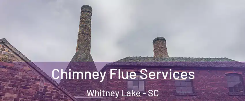 Chimney Flue Services Whitney Lake - SC