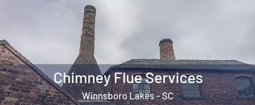 Chimney Flue Services Winnsboro Lakes - SC